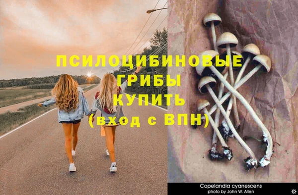 марки lsd Арсеньев