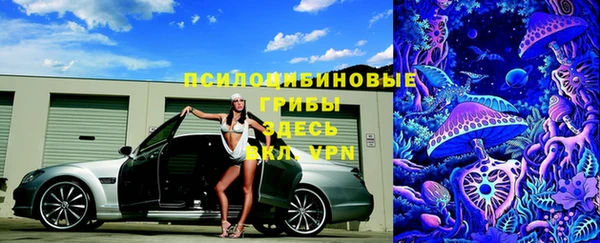 твердый Армянск