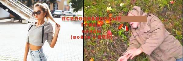твердый Армянск