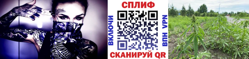 даркнет сайт  mega   Конопля THC 21%  Шацк 